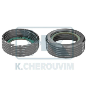 ΟΡΕΙΧΑΛΚΙΝΟΙ ΒΙΔΩΤΟΙ ΣΥΣΤΟΛΙΚΟΙ ΔΑΚΤΥΛΙΟΙ